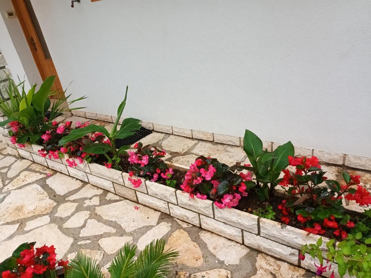 רוביני Apartments Leo מראה חיצוני תמונה
