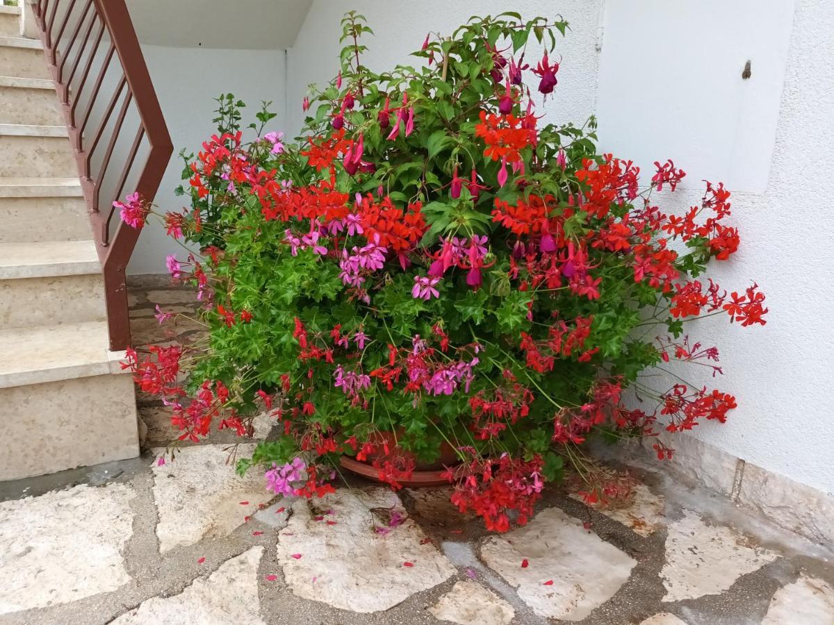 רוביני Apartments Leo מראה חיצוני תמונה